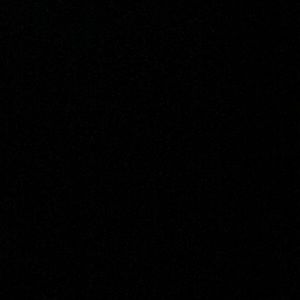 Meet your Posher, Dylan